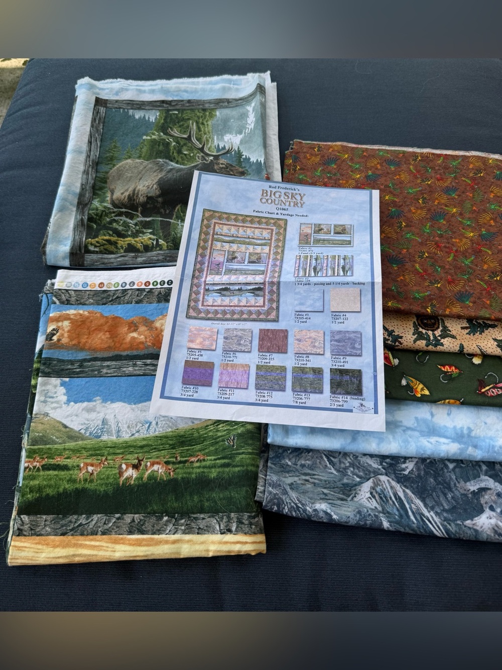 🆕Big Sky Country Quilt Project